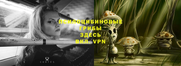 гашик Балахна