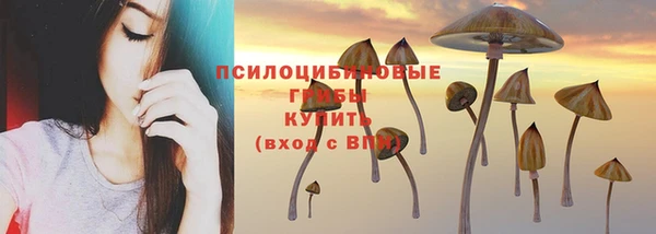 гашик Балахна