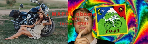 гашик Балахна