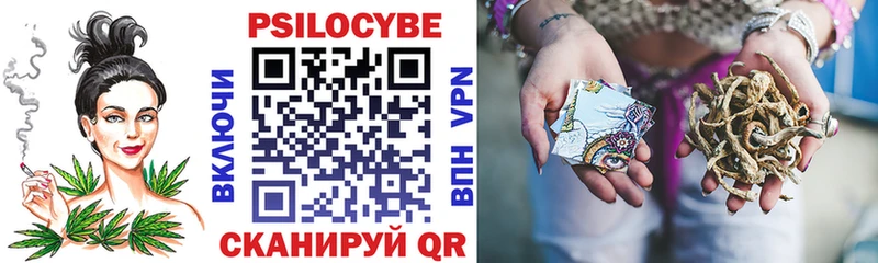 закладка  Гаджиево  Псилоцибиновые грибы GOLDEN TEACHER 