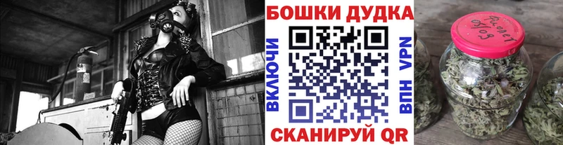 Каннабис планчик Гаджиево